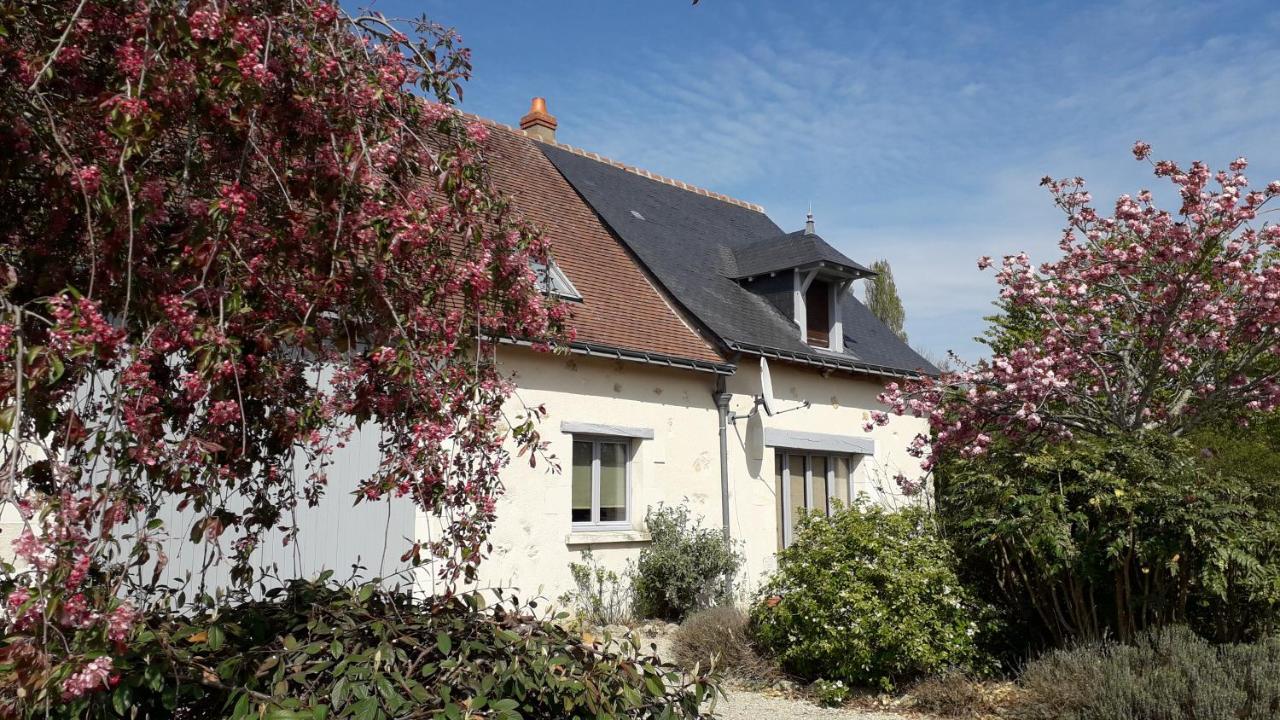 Gite La Fortaiserie Rillé エクステリア 写真